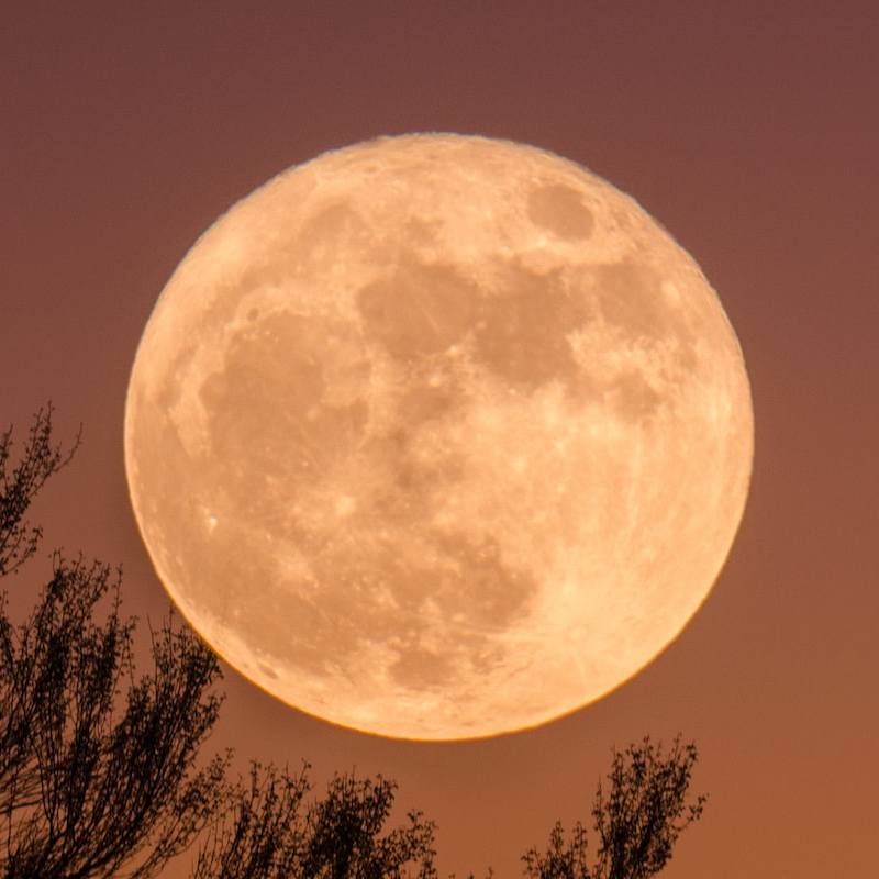 Full Moon Names and their Traditional Meanings Moon Phase Tonight